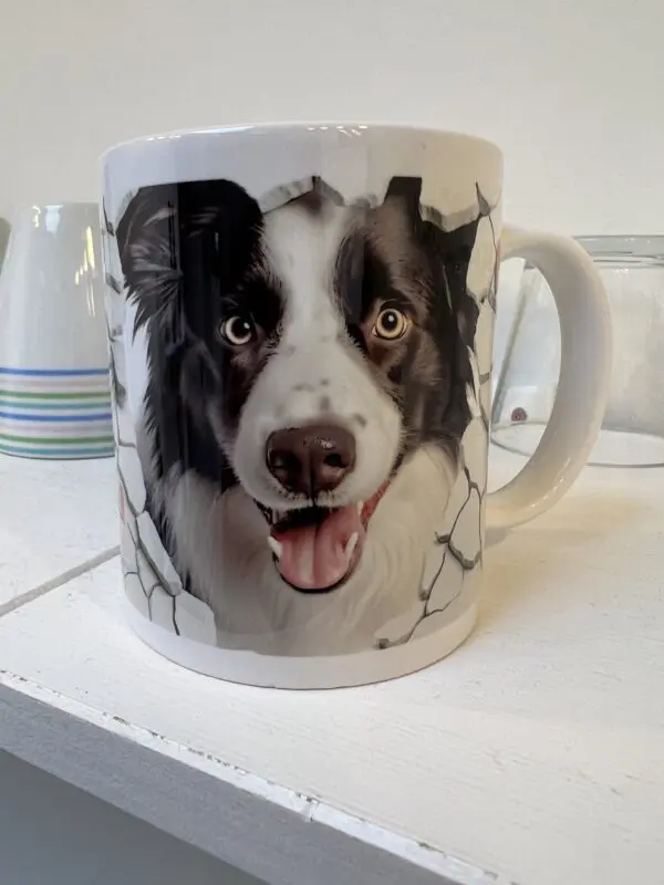 Border Collie