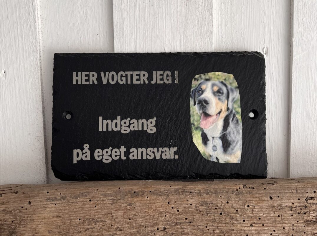 Her vogter jeg