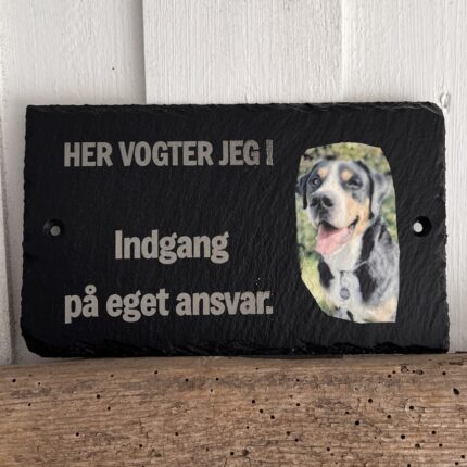 Her vogter jeg